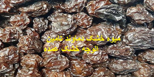 مرکز صادرات آلوچه خشک به دوبی